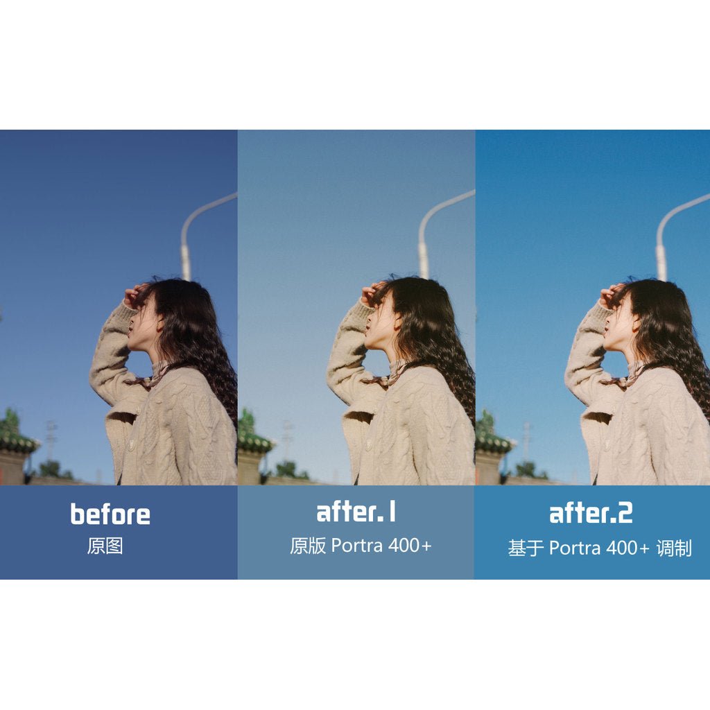 LUT | VOL.2 Kodak Porta 400 Style 🎞️ LUMIX LUT & LR • S5M2/X • G9M2 • S9 • GH7 【MICHIGO STUDIO】 - MICHIGO STUDIO