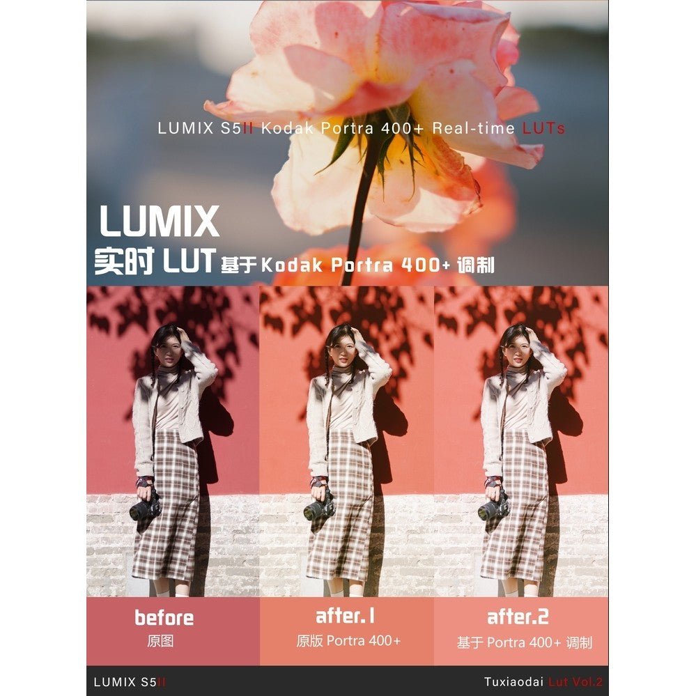 LUT | VOL.2 Kodak Porta 400 Style 🎞️ LUMIX LUT & LR • S5M2/X • G9M2 • S9 • GH7 【MICHIGO STUDIO】 - MICHIGO STUDIO