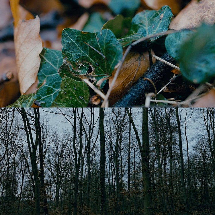 🎬 LUTs | 1 CUBE Format CINEM8 – 400 Film Emulation LUT Preset - MICHIGO STUDIO