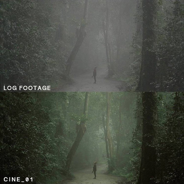 🎬 LUTs | 12 CUBE Format Travel & Cinematic Atmosphere LUTs – Stylized Film Look Presets - MICHIGO STUDIO