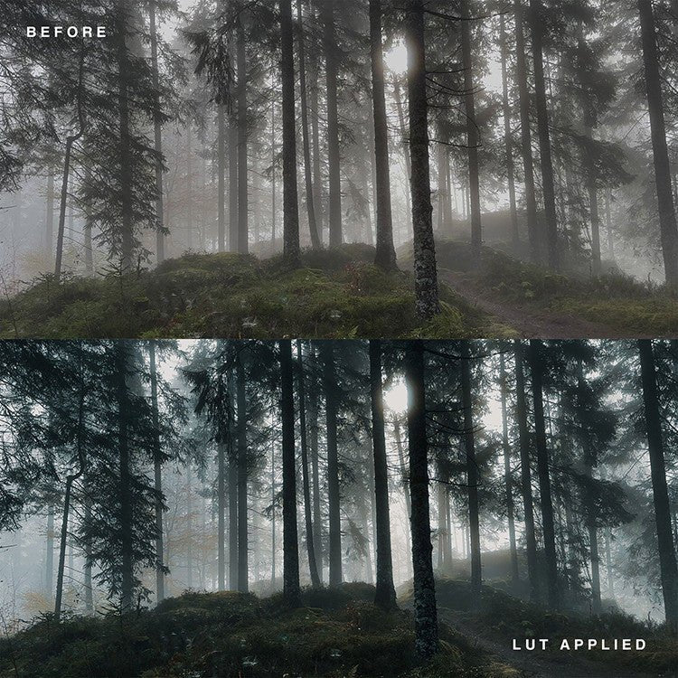 🎬 LUTs | 18 CUBE Format CINEM8 – Cinematic LUTs Mobile Color Grading Presets - MICHIGO STUDIO