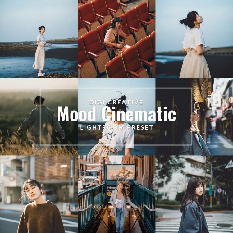 Mood Cinematic Aesthetic Premium Preset | Lightroom Preset[ MICHIGO STUDIO ] - MICHIGO STUDIO