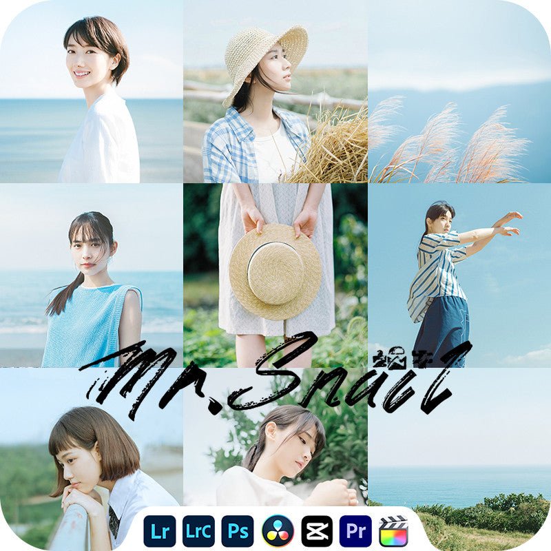 📸 Mr.214 Japanese Usual - Lightroom Preset (PS, DaVinci, Hamada Eimei, Capcut) - MICHIGO STUDIO