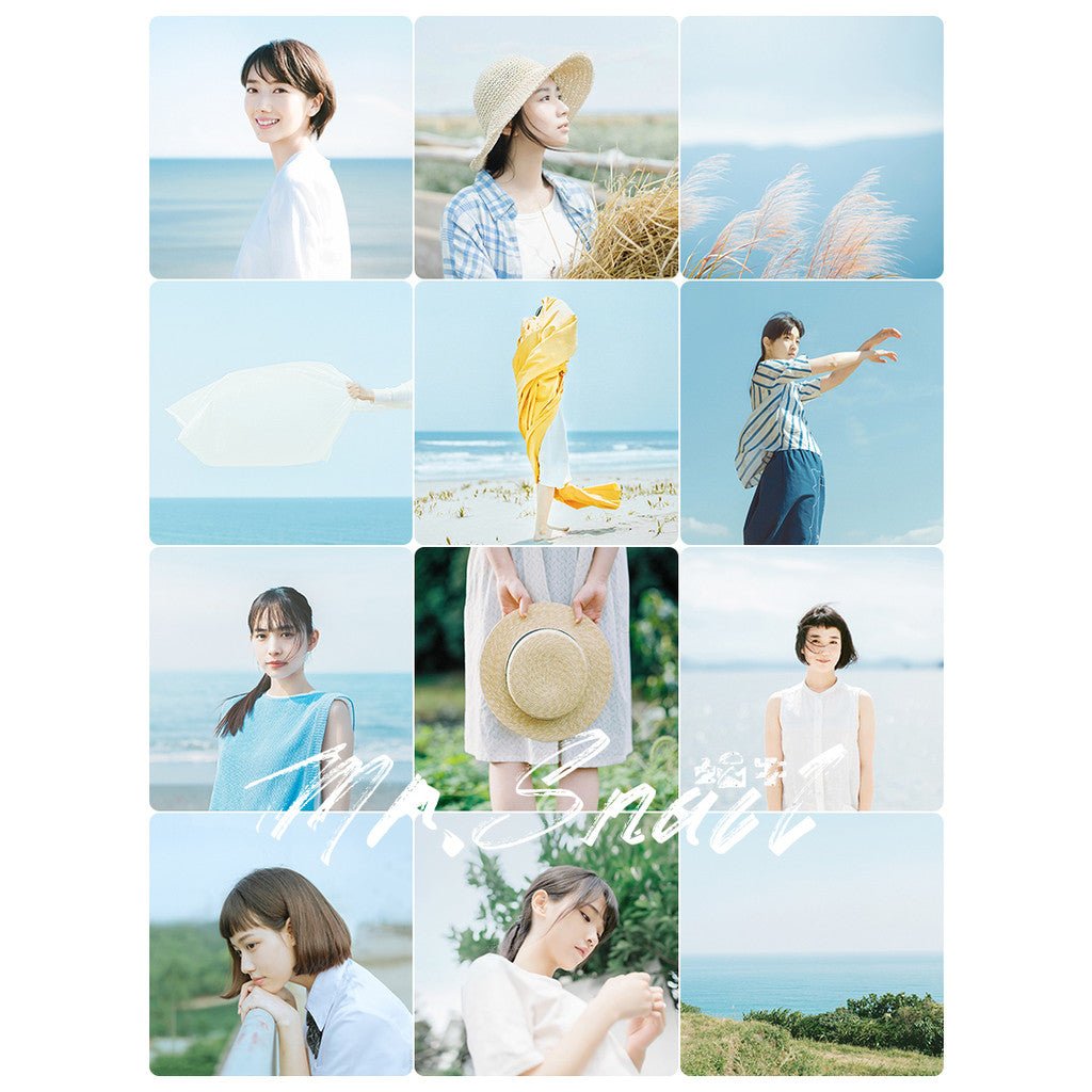 📸 Mr.214 Japanese Usual - Lightroom Preset (PS, DaVinci, Hamada Eimei, Capcut) - MICHIGO STUDIO