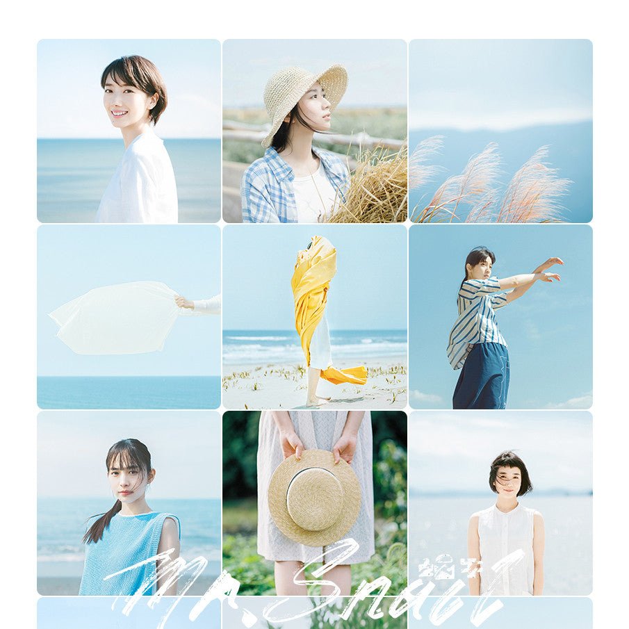 📸 Mr.214 Japanese Usual - Lightroom Preset (PS, DaVinci, Hamada Eimei, Capcut) - MICHIGO STUDIO