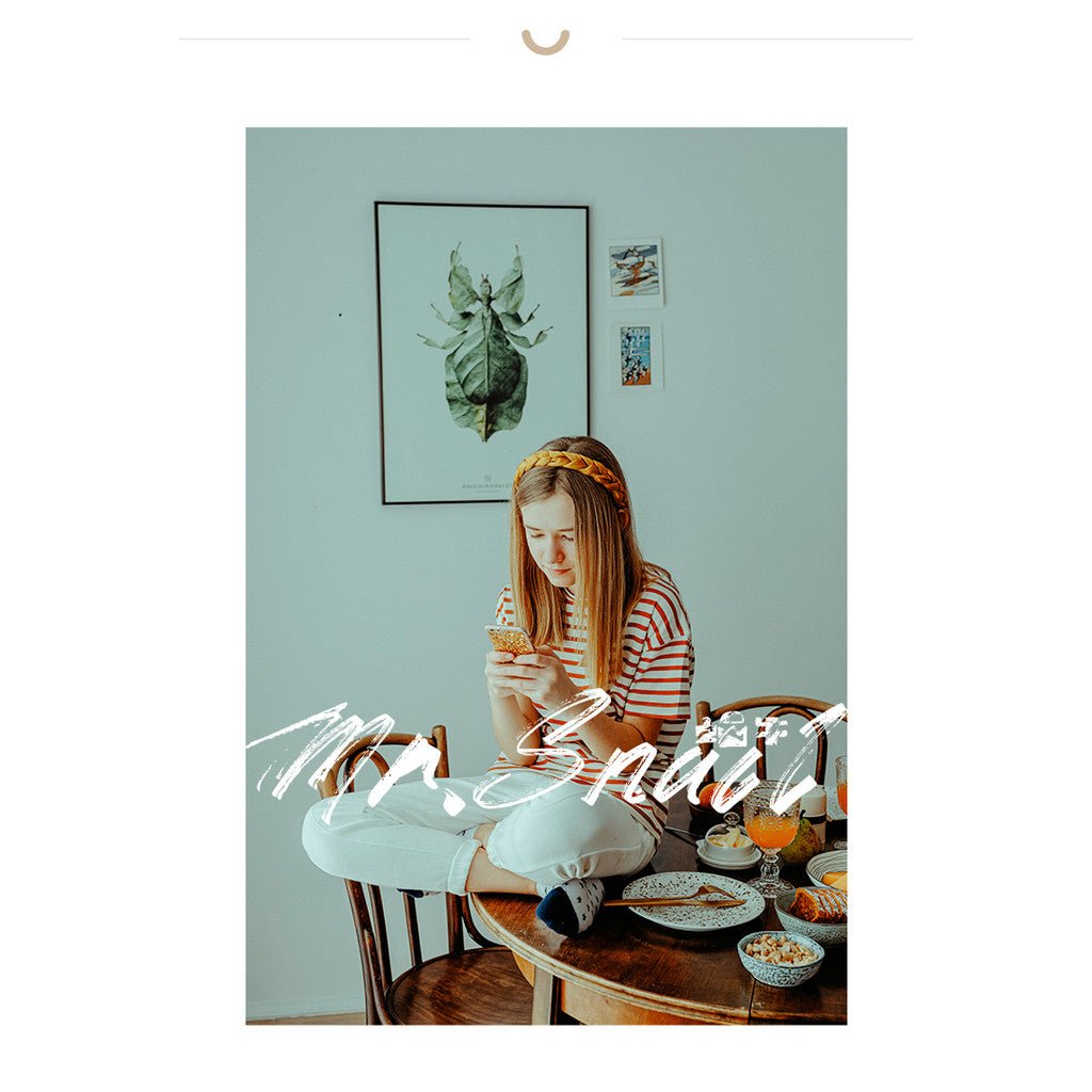 📸 Mr.245 Kodak Film Pure White - Lightroom Preset (Capcut, PS, PR, DaVinci, FCPX) - MICHIGO STUDIO