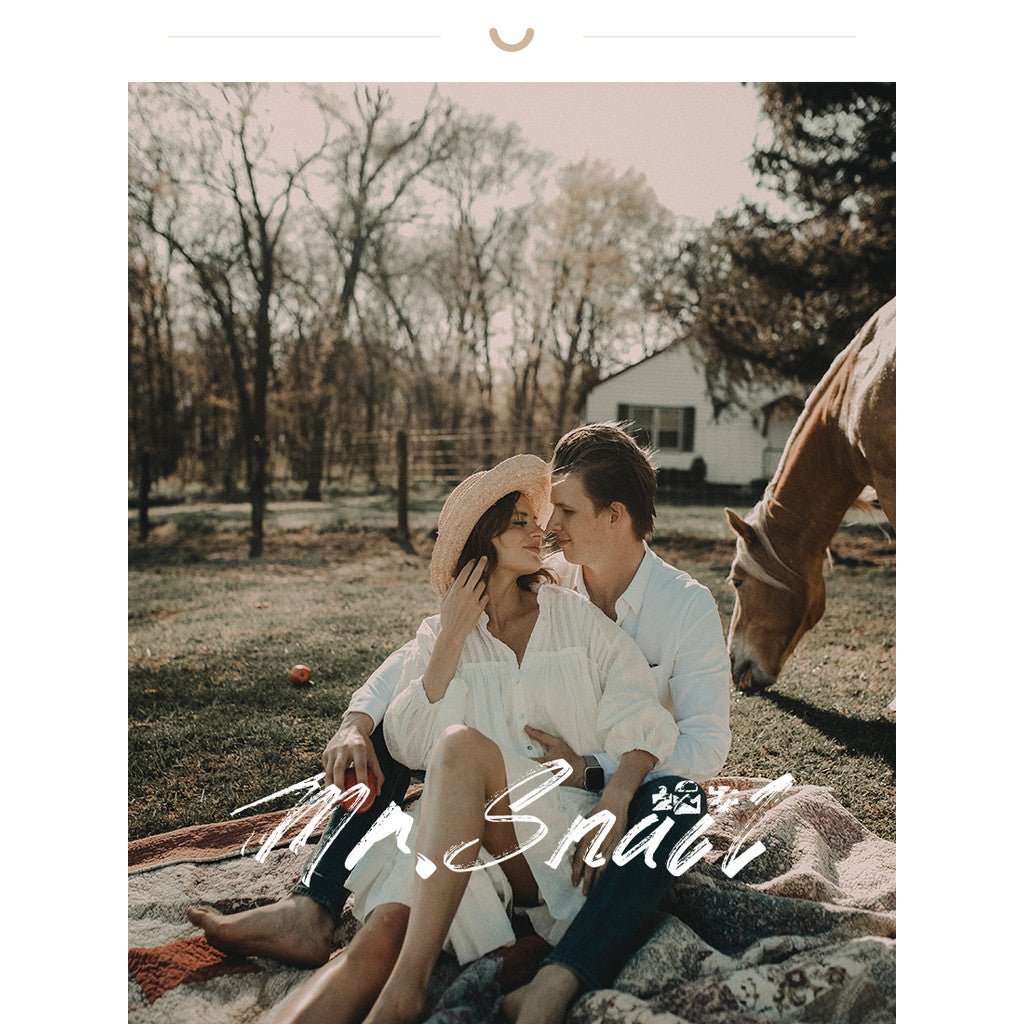 📸 Mr.248 Movie French Vintage - Lightroom Preset (PS, PR, DaVinci) - MICHIGO STUDIO