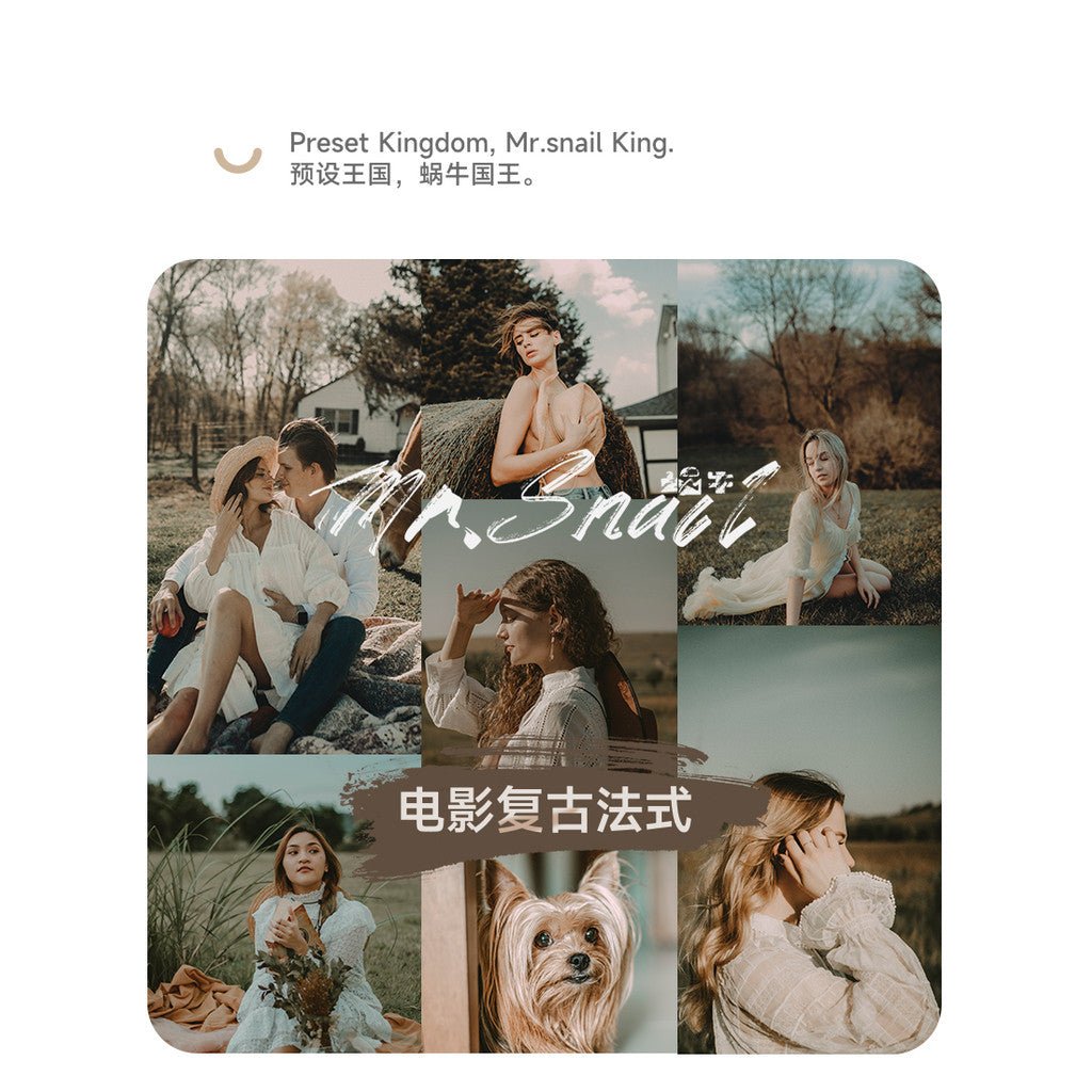 📸 Mr.248 Movie French Vintage - Lightroom Preset (PS, PR, DaVinci) - MICHIGO STUDIO