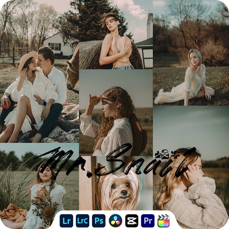 📸 Mr.248 Movie French Vintage - Lightroom Preset (PS, PR, DaVinci) - MICHIGO STUDIO