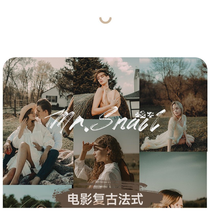 📸 Mr.248 Movie French Vintage - Lightroom Preset (PS, PR, DaVinci) - MICHIGO STUDIO