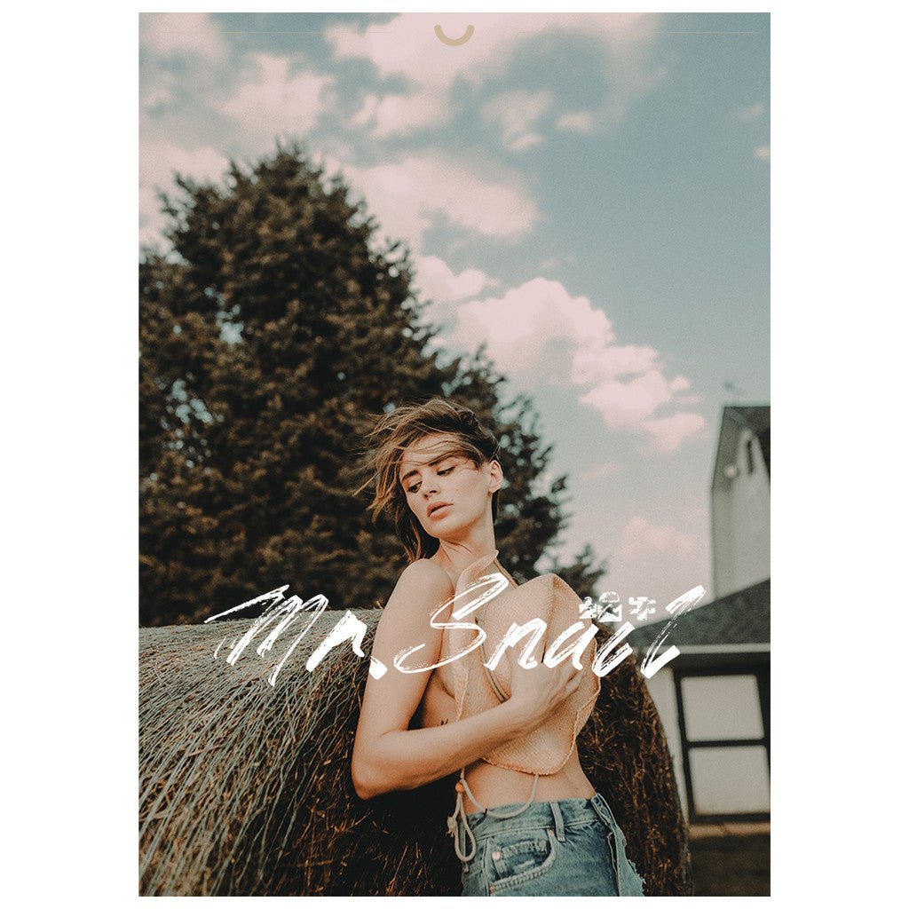 📸 Mr.248 Movie French Vintage - Lightroom Preset (PS, PR, DaVinci) - MICHIGO STUDIO