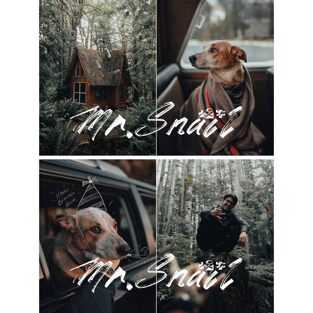 📸 Mr.276 Movie Morandi - Lightroom Preset (PS, PR, Capcut, DaVinci, FCPX) - MICHIGO STUDIO