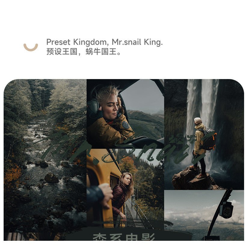 📸 Mr.276 Movie Morandi - Lightroom Preset (PS, PR, Capcut, DaVinci, FCPX) - MICHIGO STUDIO