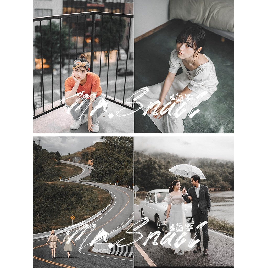📸 Mr.277 LR Filter - Lightroom Preset (PS, Forest, Portrait, PR, FCPX, Mobile) - MICHIGO STUDIO