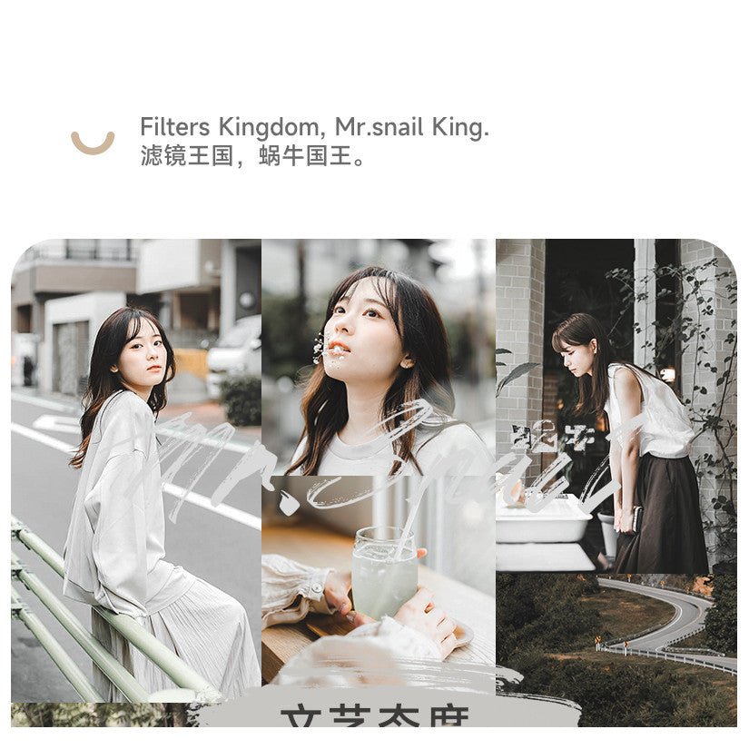 📸 Mr.277 LR Filter - Lightroom Preset (PS, Forest, Portrait, PR, FCPX, Mobile) - MICHIGO STUDIO