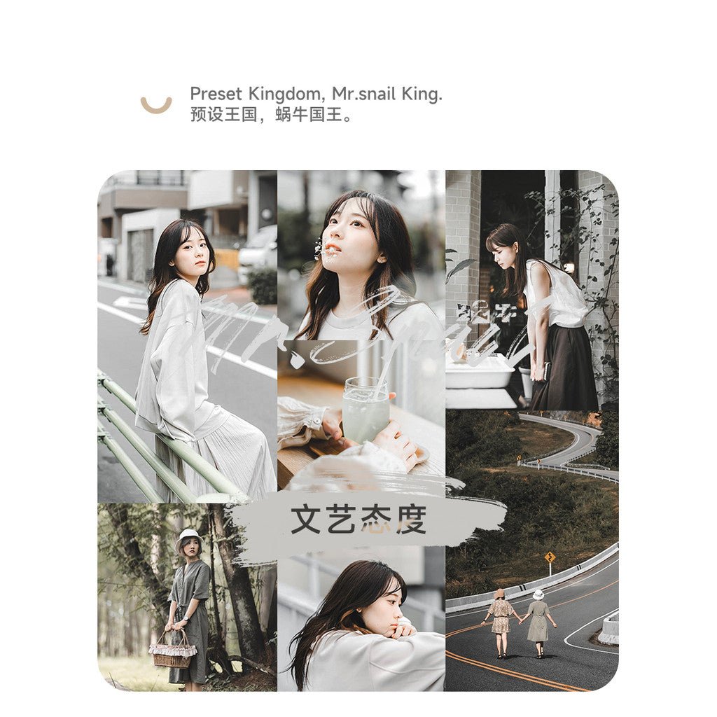 📸 Mr.277 LR Filter - Lightroom Preset (PS, Forest, Portrait, PR, FCPX, Mobile) - MICHIGO STUDIO