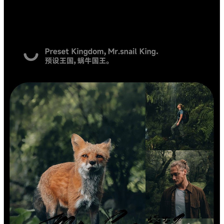 📸 Mr.288 LR Preset - Lightroom Preset (PS, PR, Capcut, Mobile, DaVinci) - MICHIGO STUDIO