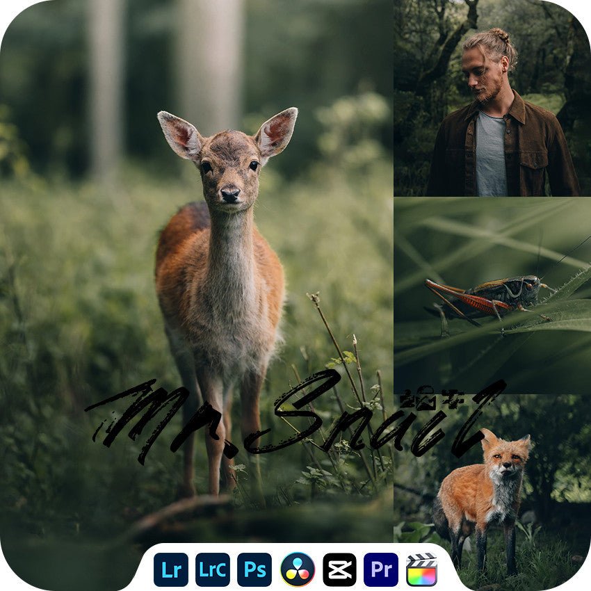 📸 Mr.288 LR Preset - Lightroom Preset (PS, PR, Capcut, Mobile, DaVinci) - MICHIGO STUDIO