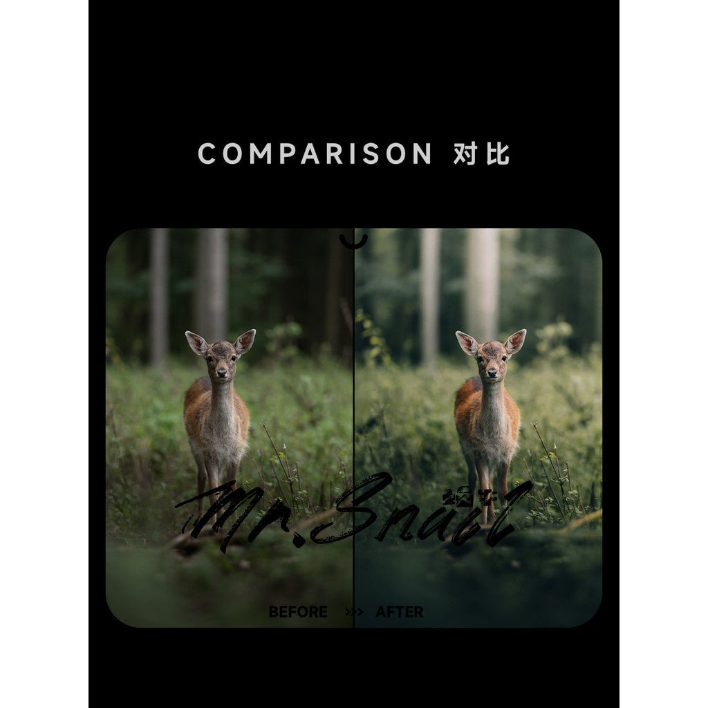 📸 Mr.288 LR Preset - Lightroom Preset (PS, PR, Capcut, Mobile, DaVinci) - MICHIGO STUDIO