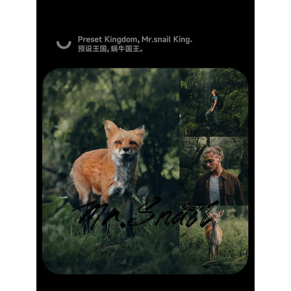 📸 Mr.288 LR Preset - Lightroom Preset (PS, PR, Capcut, Mobile, DaVinci)