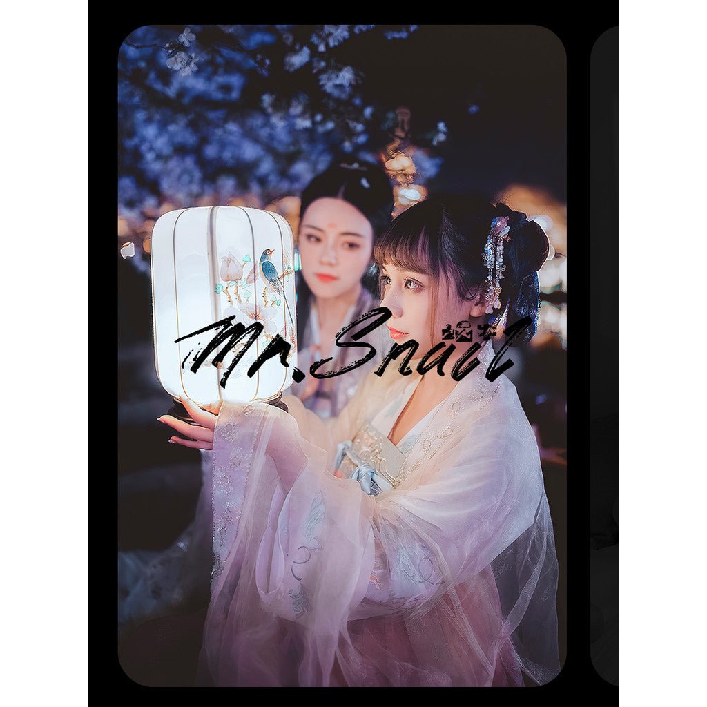 📸 Mr.302 Ancient Night Scene Costume - Lightroom Preset (PS, PR, DaVinci) - MICHIGO STUDIO
