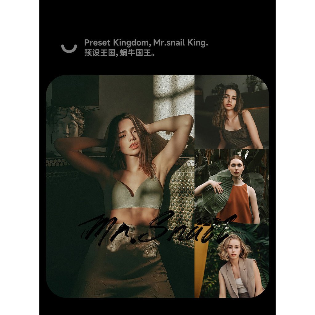 📸 Mr.310 Leica German Vintage Film - Lightroom Preset (PS, Portrait, PR, FCPX, DaVinci) - MICHIGO STUDIO