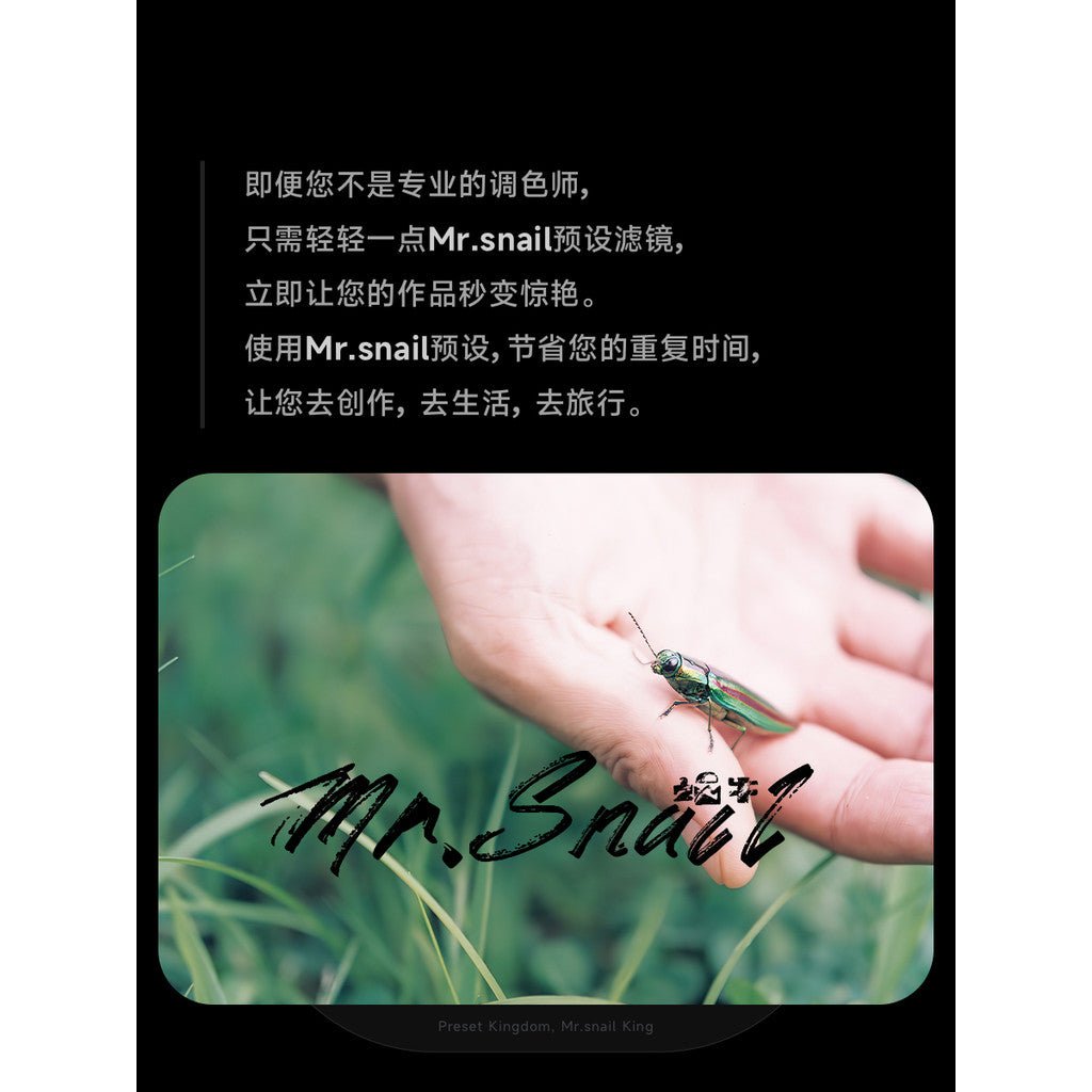 📸 Mr.313 Rinko Kawauchi Japanese - Lightroom Preset (Capcut, PS, PR, FCPX) - MICHIGO STUDIO
