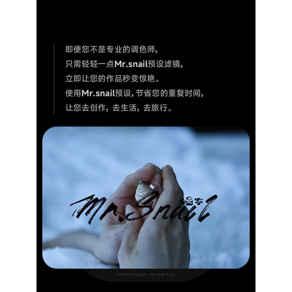 📸 Mr.314 Shunji Iwai - Lightroom Preset (Capcut, PS, FCPX, PR, Snow Scene) - MICHIGO STUDIO
