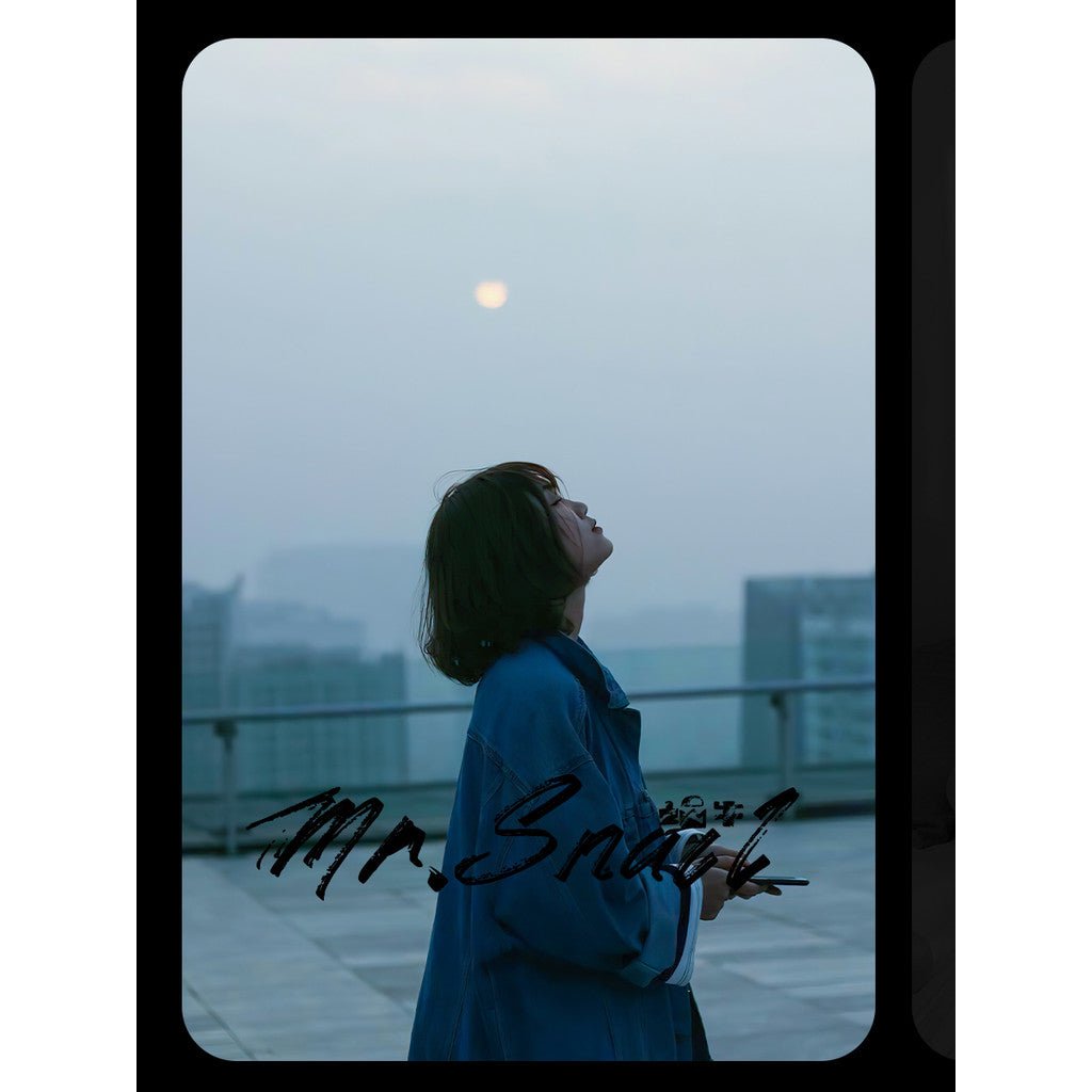 📸 Mr.314 Shunji Iwai - Lightroom Preset (Capcut, PS, FCPX, PR, Snow Scene) - MICHIGO STUDIO