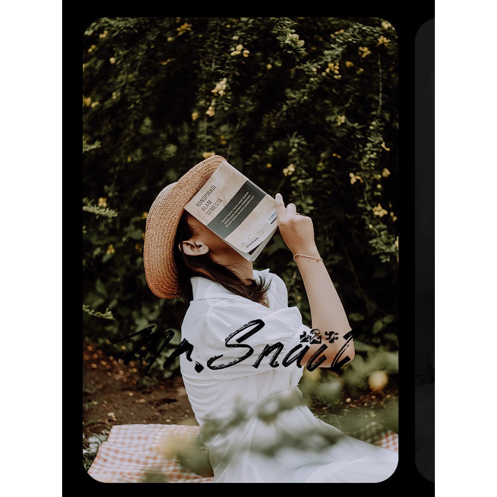 📸 Mr.317 Natural Outdoor Filter - Lightroom Preset (PS, Forest, Landscape, Travel, PR, FCPX) - MICHIGO STUDIO