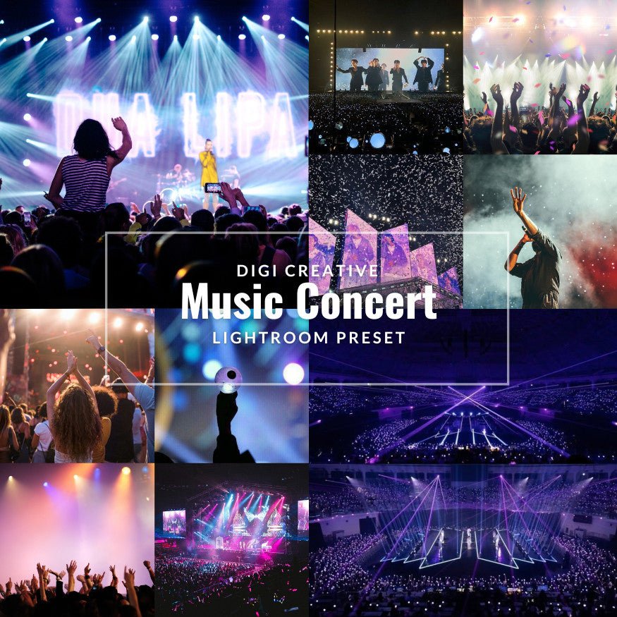 Music Concert Premium Preset | Lightroom Preset | 688 [ MICHIGO STUDIO ] - MICHIGO STUDIO