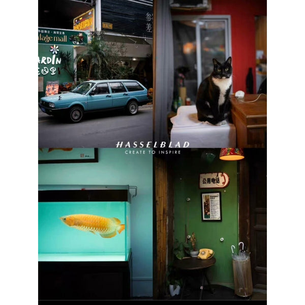 PRESET LR | Hasselblad Blue & Kodak Gold Film 🎞️ Blue-Yellow Look PS Filters