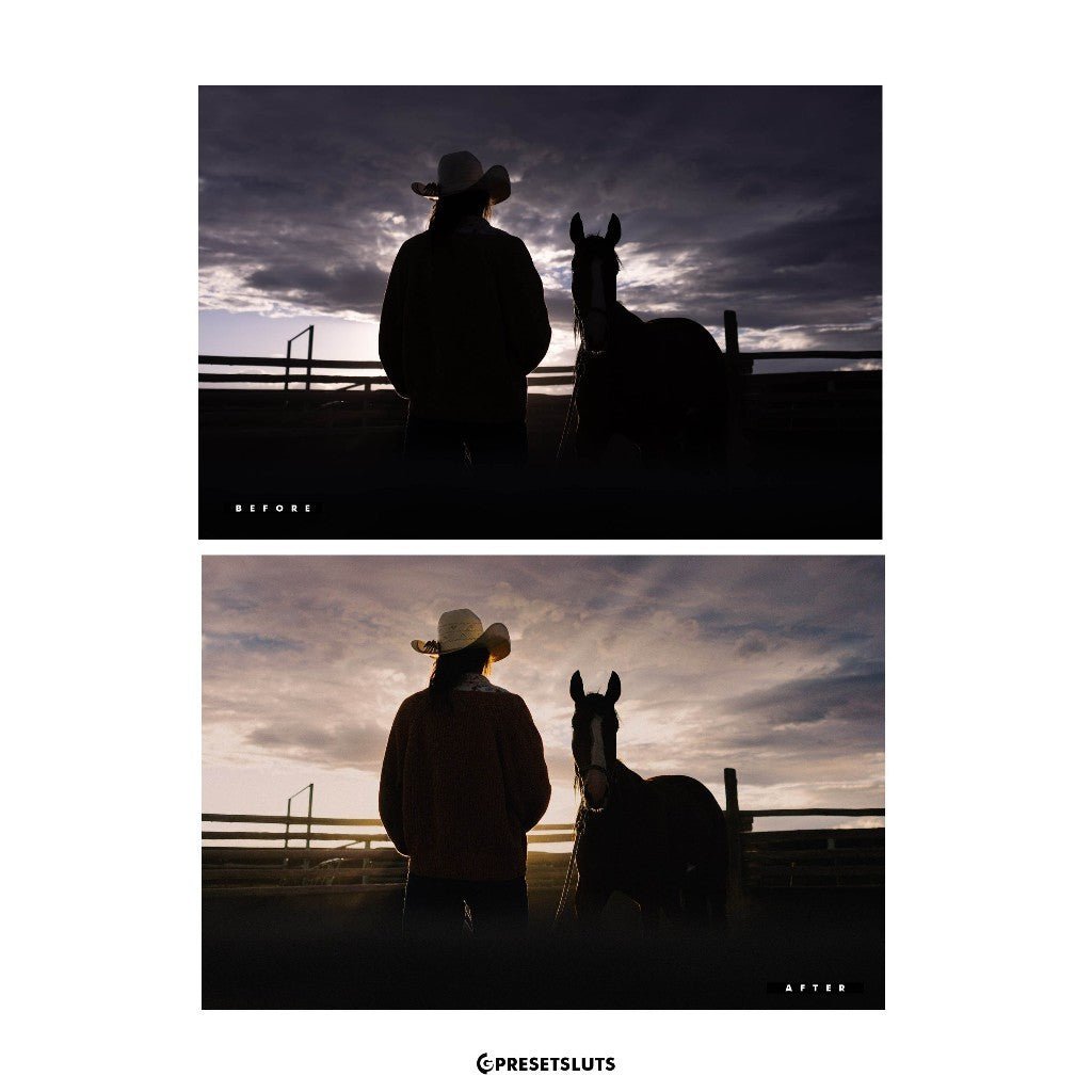 NEW: FM PRO 2025 Lightroom Presets Desktop Mobile iOS Android[ MICHIGO STUDIO ] - MICHIGO STUDIO