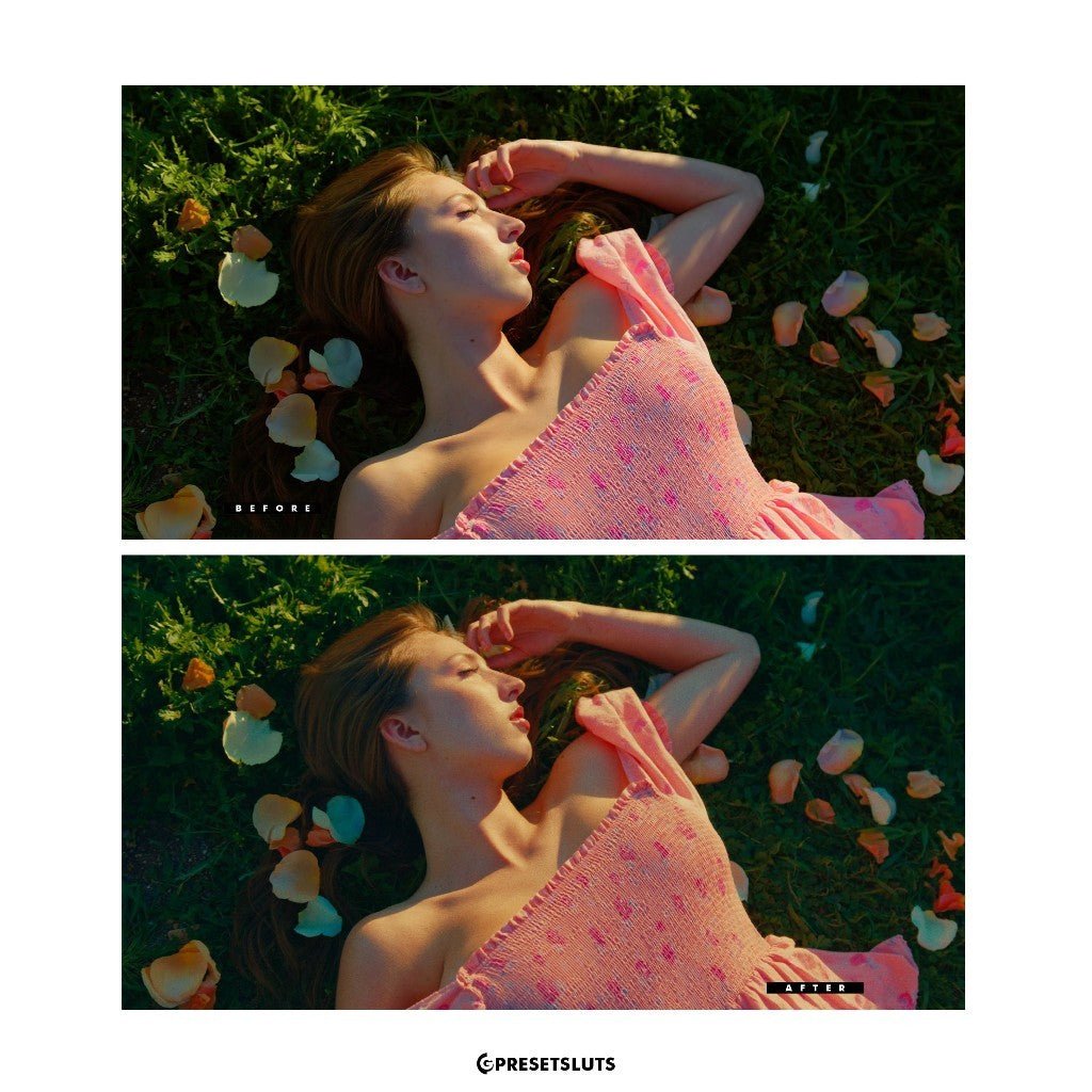 [NEW!] Tom Bolles Cine Print35 Film Emulation PowerGrades + LUT'S for Davinci Resolve Adobe Premiere - MICHIGO STUDIO