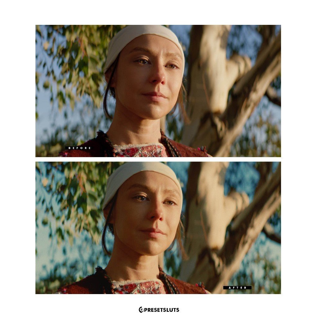 [NEW!] Tom Bolles Cine Print35 Film Emulation PowerGrades + LUT'S for Davinci Resolve Adobe Premiere - MICHIGO STUDIO