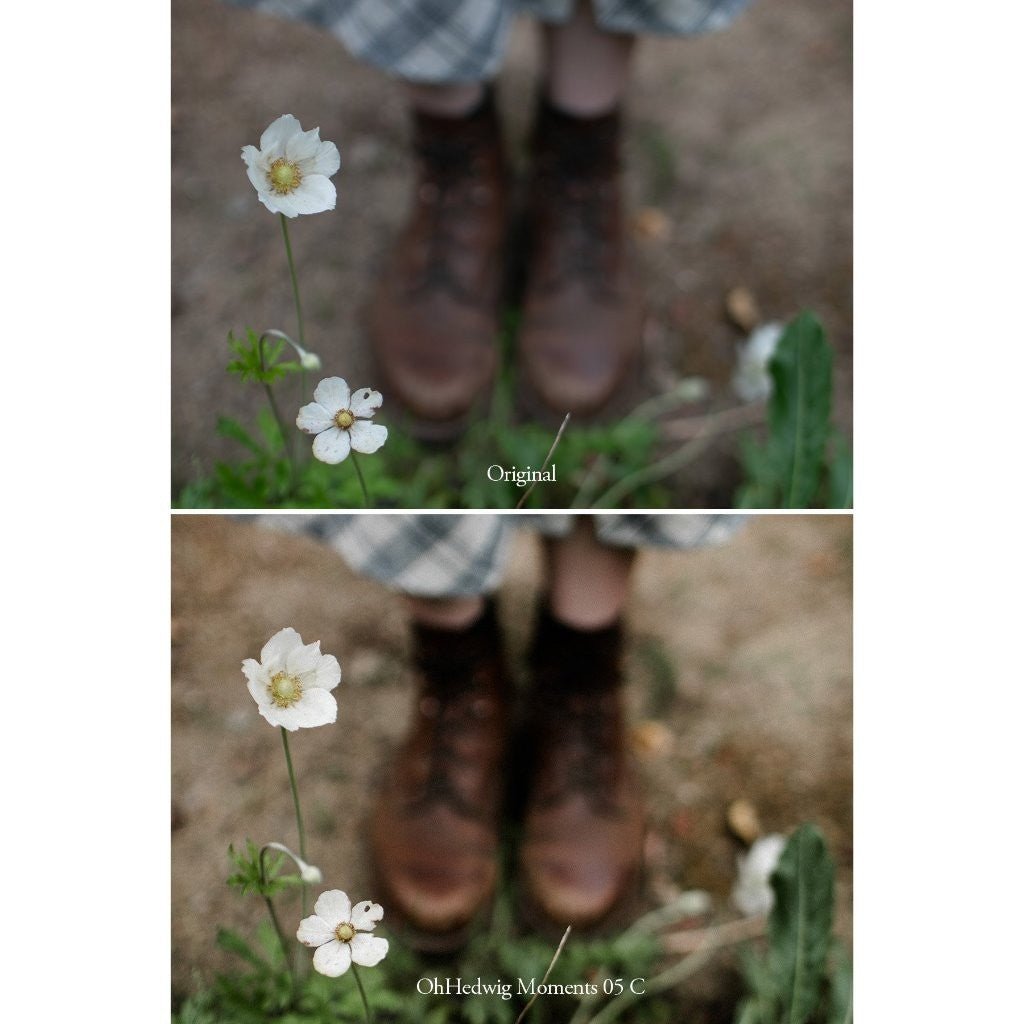 Oh Hedwig Moments Lightroom Presets Desktop Android[ MICHIGO STUDIO ] - MICHIGO STUDIO