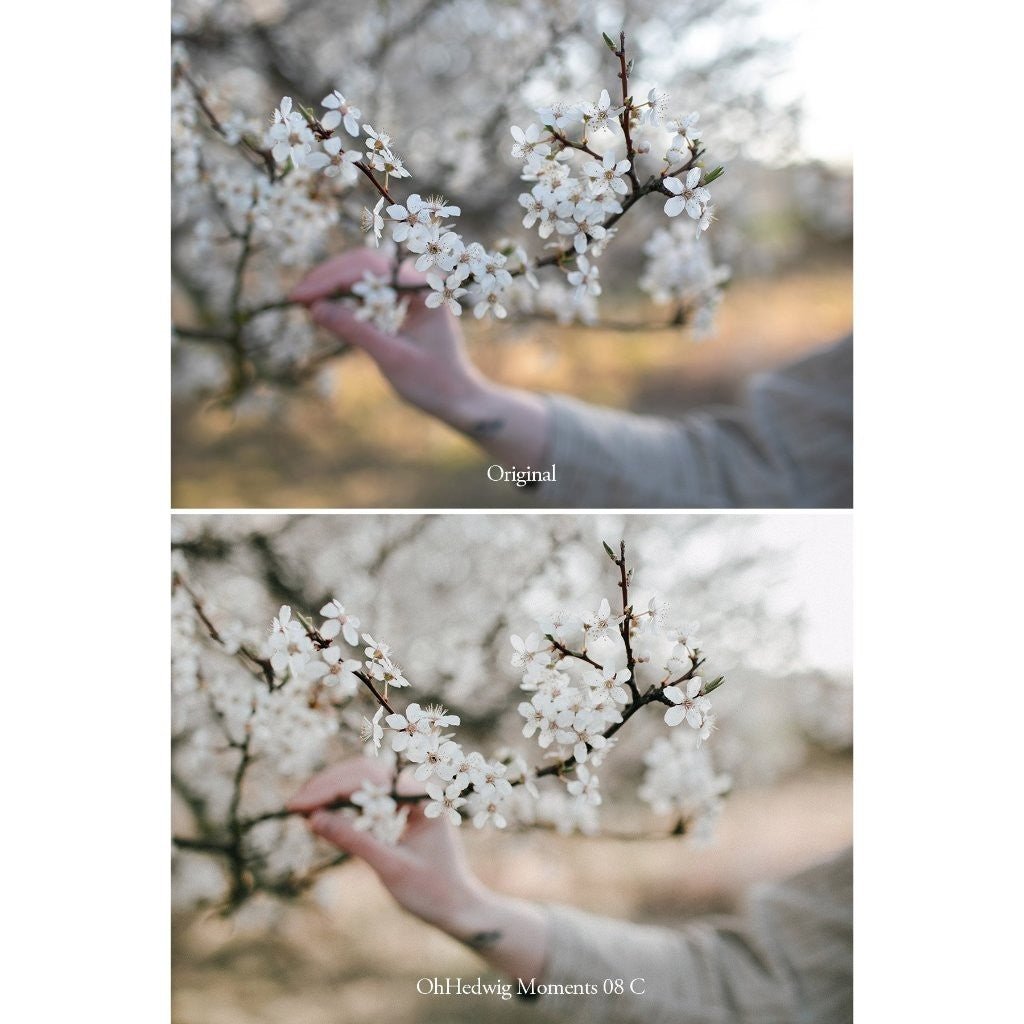 Oh Hedwig Moments Lightroom Presets Desktop Android[ MICHIGO STUDIO ] - MICHIGO STUDIO