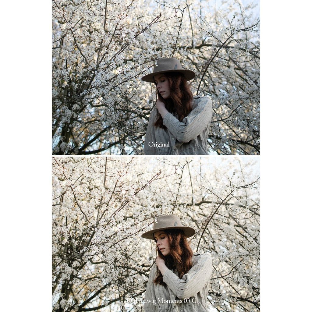 Oh Hedwig Moments Lightroom Presets Desktop Android[ MICHIGO STUDIO ] - MICHIGO STUDIO