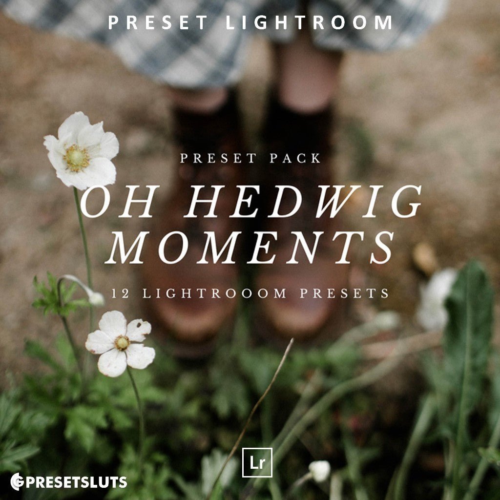 Oh Hedwig Moments Lightroom Presets Desktop Android[ MICHIGO STUDIO ] - MICHIGO STUDIO
