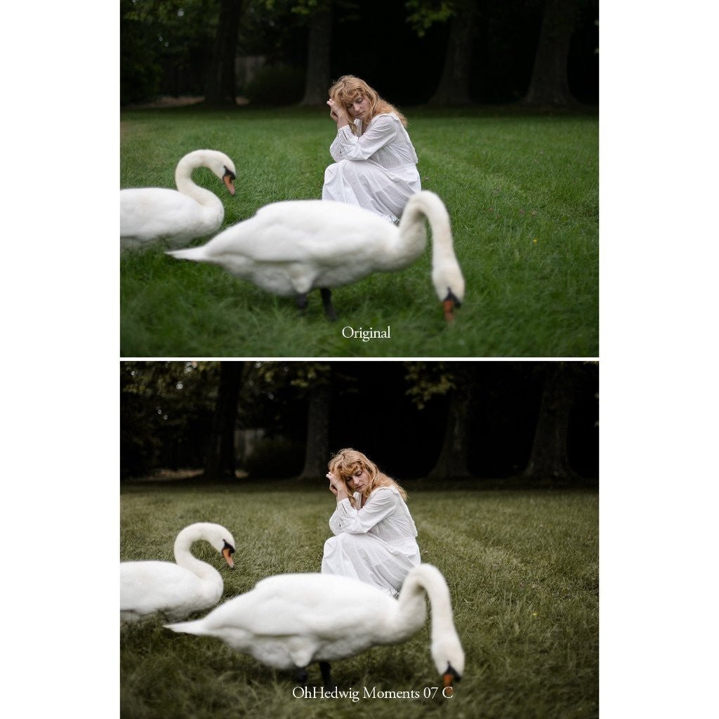 Oh Hedwig Moments Lightroom Presets Desktop Android[ MICHIGO STUDIO ] - MICHIGO STUDIO