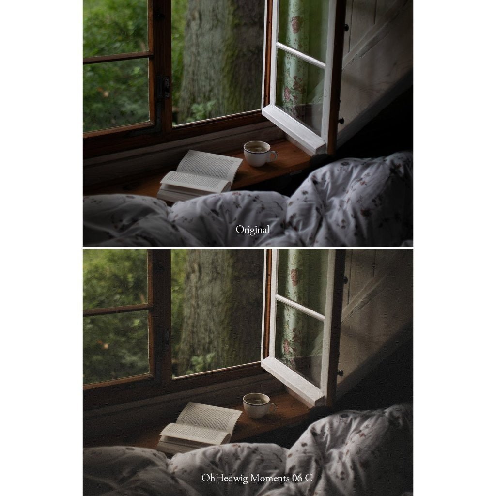 Oh Hedwig Moments Lightroom Presets Desktop Android[ MICHIGO STUDIO ] - MICHIGO STUDIO