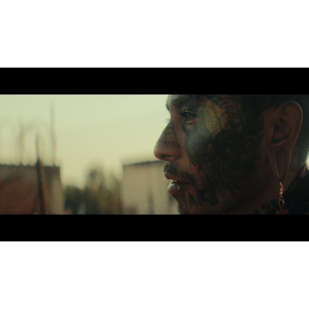 PALINOIA - HUMANO 2023 POWERGRADE + LUT | DAVINCI RESOLVE[ MICHIGO STUDIO ] - MICHIGO STUDIO