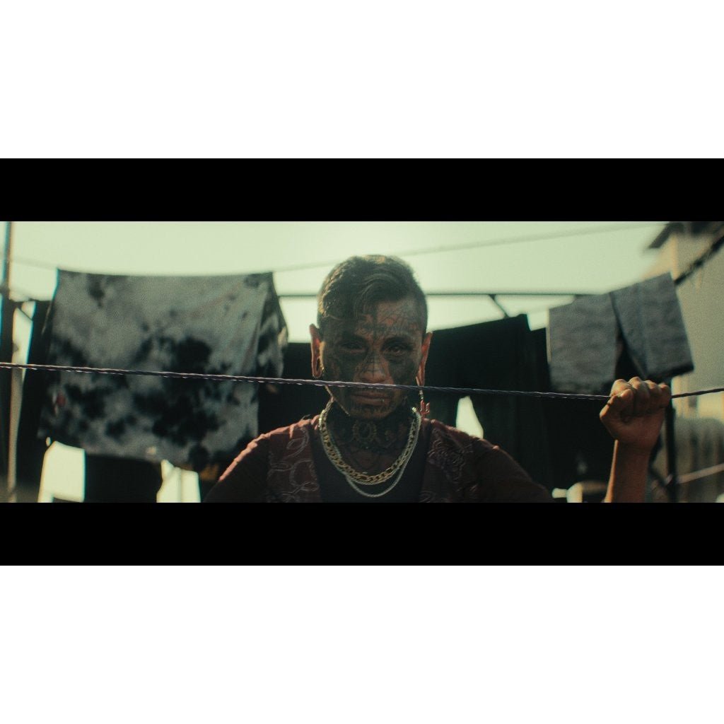 PALINOIA - HUMANO 2023 POWERGRADE + LUT | DAVINCI RESOLVE[ MICHIGO STUDIO ] - MICHIGO STUDIO
