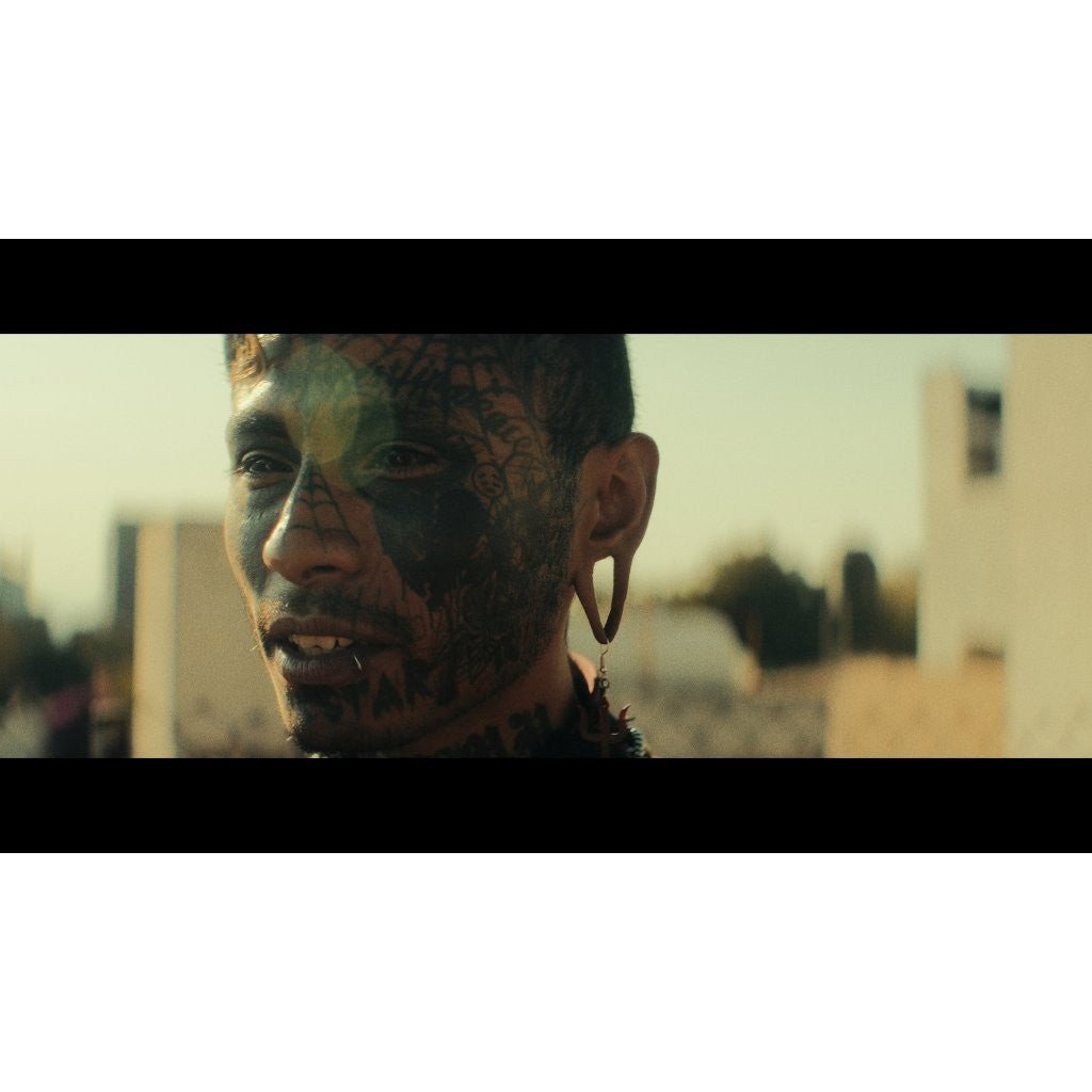 PALINOIA - HUMANO 2023 POWERGRADE + LUT | DAVINCI RESOLVE[ MICHIGO STUDIO ] - MICHIGO STUDIO