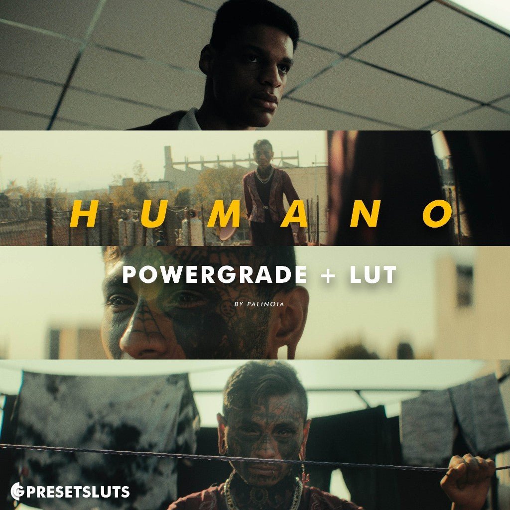 PALINOIA - HUMANO 2023 POWERGRADE + LUT | DAVINCI RESOLVE[ MICHIGO STUDIO ] - MICHIGO STUDIO