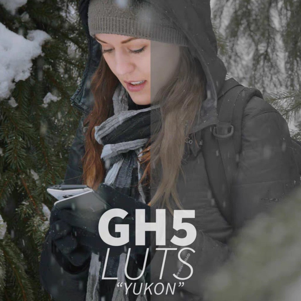🎞️ Panasonic GH5 LUTs – Cinematic Grade - MICHIGO STUDIO