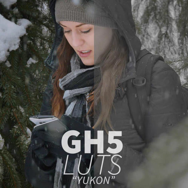 🎞️ Panasonic GH5 LUTs – Cinematic Grade
