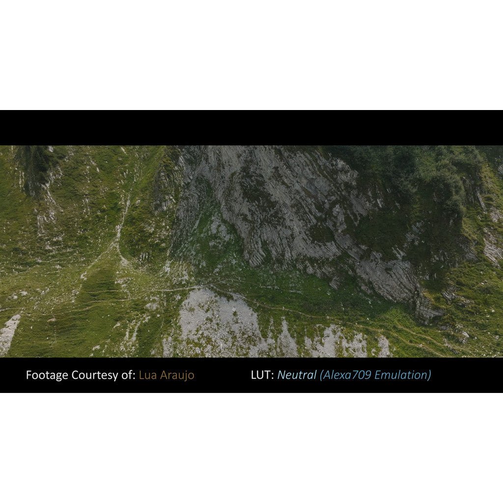 PHANTOM LUT - DJI Mavic 3/Pro G3 D - log[ MICHIGO STUDIO ] - MICHIGO STUDIO