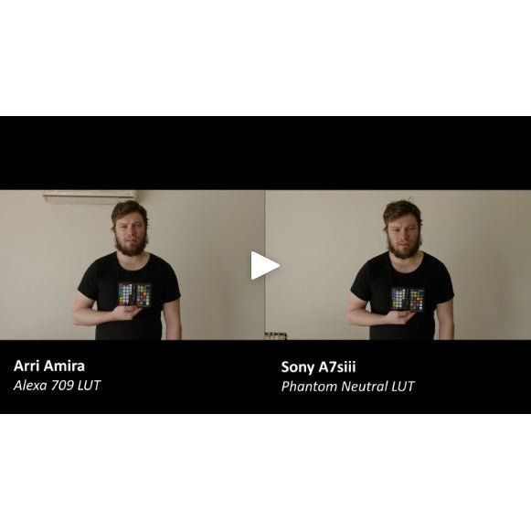 🎞️ PHANTOM LUTs – ARRI Film Look Emulation for Sony SLOG2/SLOG3 | Cinematic Color Presets - MICHIGO STUDIO