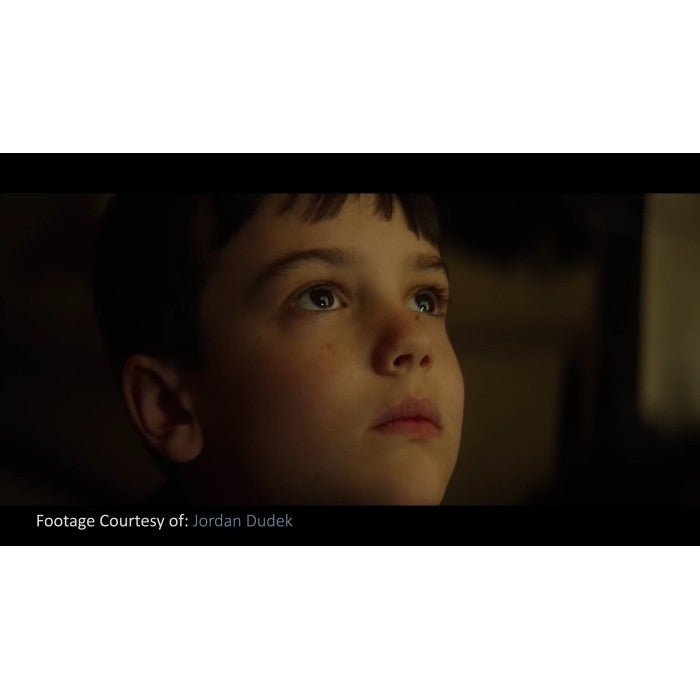 🎥 PHANTOM LUTs – Canon C - Log2 / C - Log3 to ARRI Film Look Color Grading Presets 🎬 - MICHIGO STUDIO